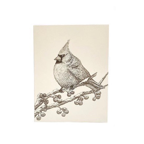 SVC STUDIOS - CARDINAL GREETING CARD